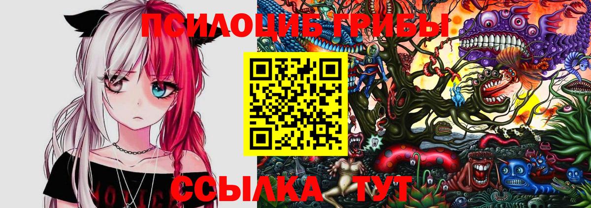 Псилоцибиновые грибы Magic Shrooms Сатка